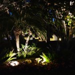 Low-Voltage Palm Beach Landscape Lighting